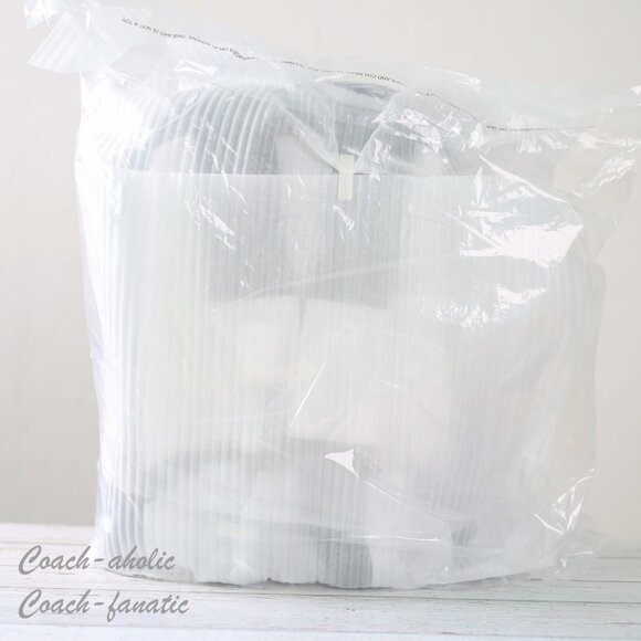 NWT Coach CL963 Men's Ethan Backpack In Smooth Calf Leather *SEALED* - Picture 8 of 9